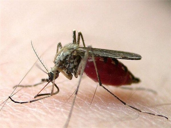 九游在线登录官网地址在德阳市凯江路三