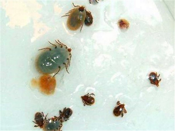 公开信息按发布时间滚动