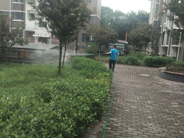 咨询电话: